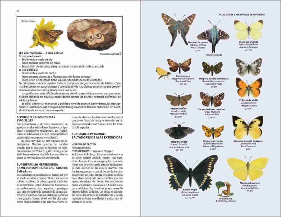 Flora y fauna de Chile. Guía de identificación sample page