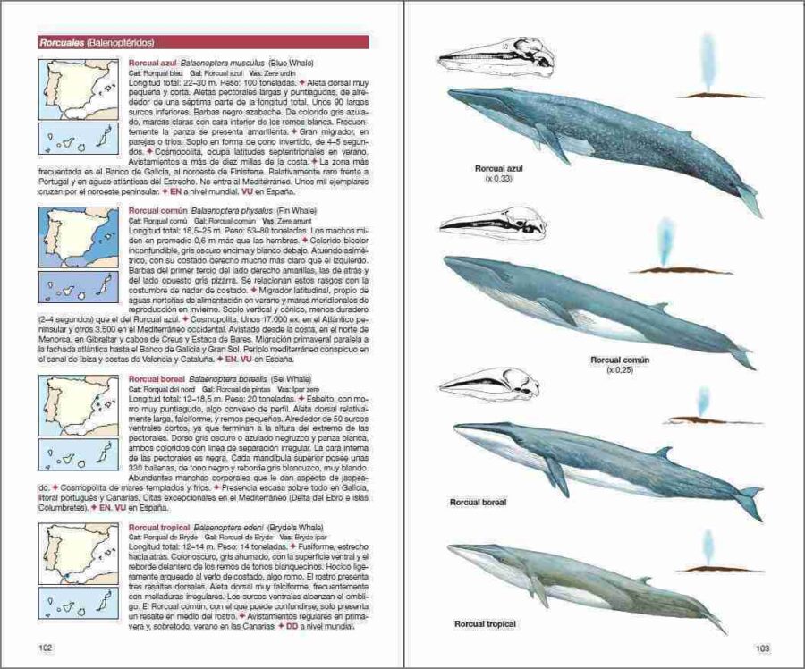 Mamíferos de España sample page