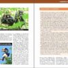 Wild Rwanda sample page