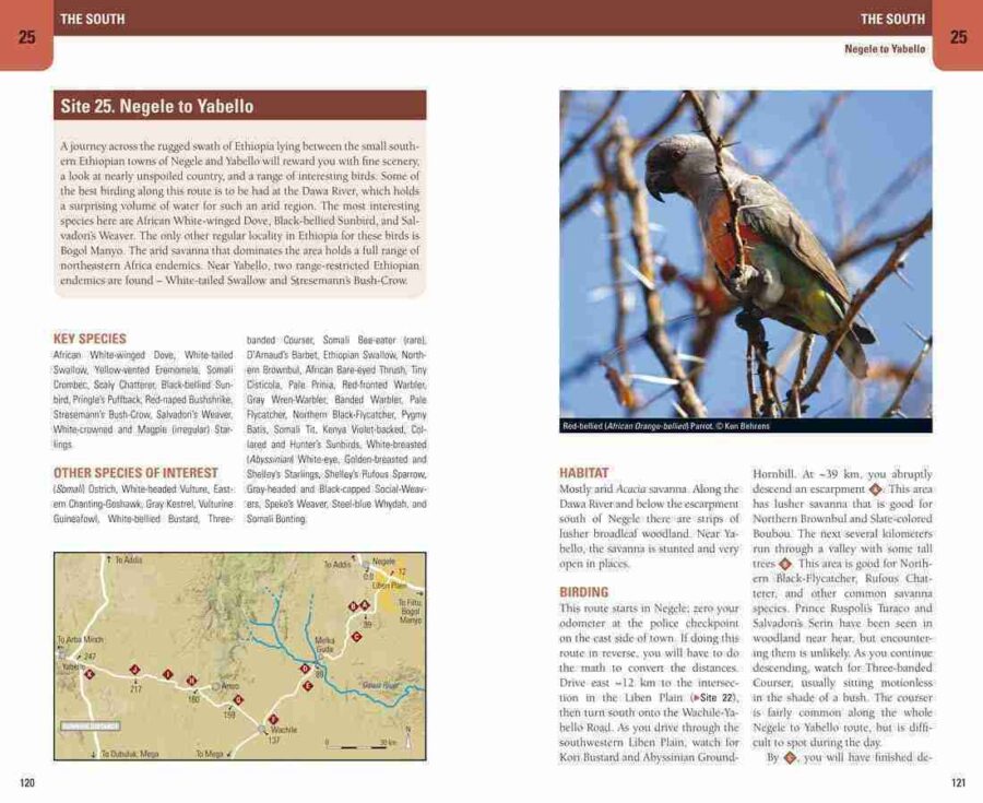 Birding Ethiopia sample page