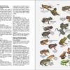 Flora y fauna de Chile. Guía de identificación sample page