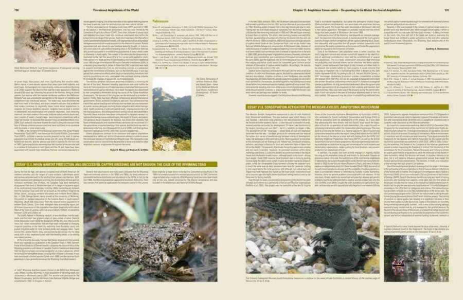 Threatened Amphibians of the World sample page