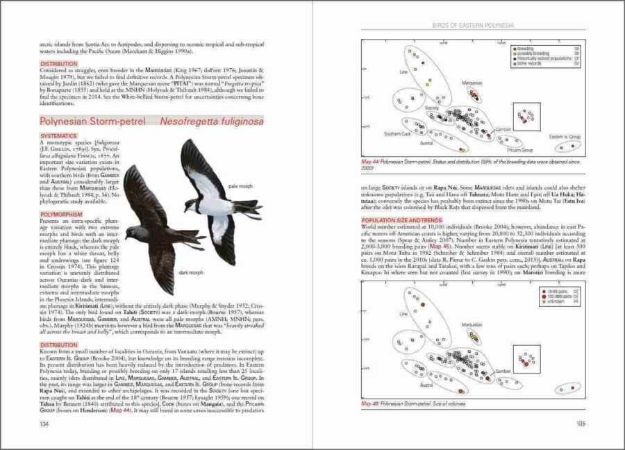 Pàgina de mostra Ocells de la Polinèsia oriental