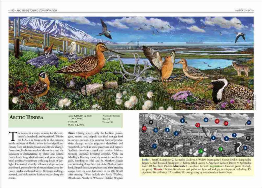 Página de muestra de la Guía para la Conservación de las Aves de American Bird Conservancy