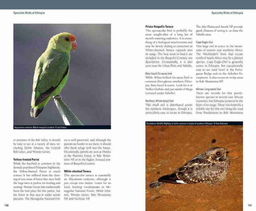 Página de ejemplo de Birding Ethiopia