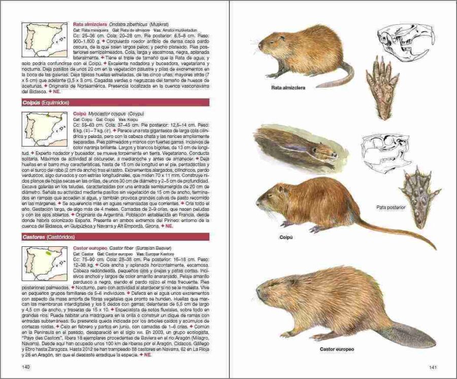 Página de muestra de Mamíferos de España