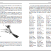 Birding in Venezuela sample page
