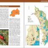 Wild Rwanda sample page