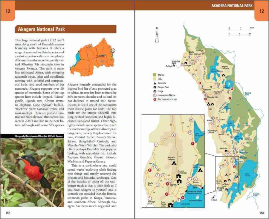 Página de muestra de Ruanda salvaje