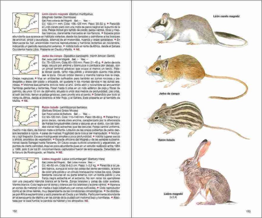 Mamíferos de España sample page