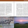 Wild Rwanda sample page