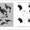 Curassows and Related Birds sample page