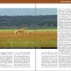 Wild Rwanda sample page
