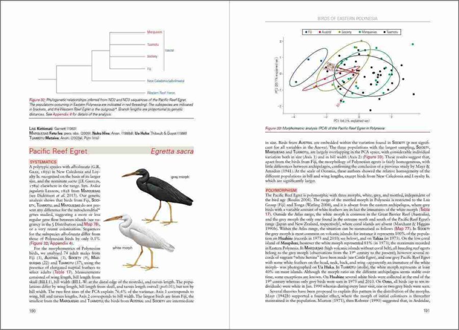 Birds of Eastern Polynesia sample page