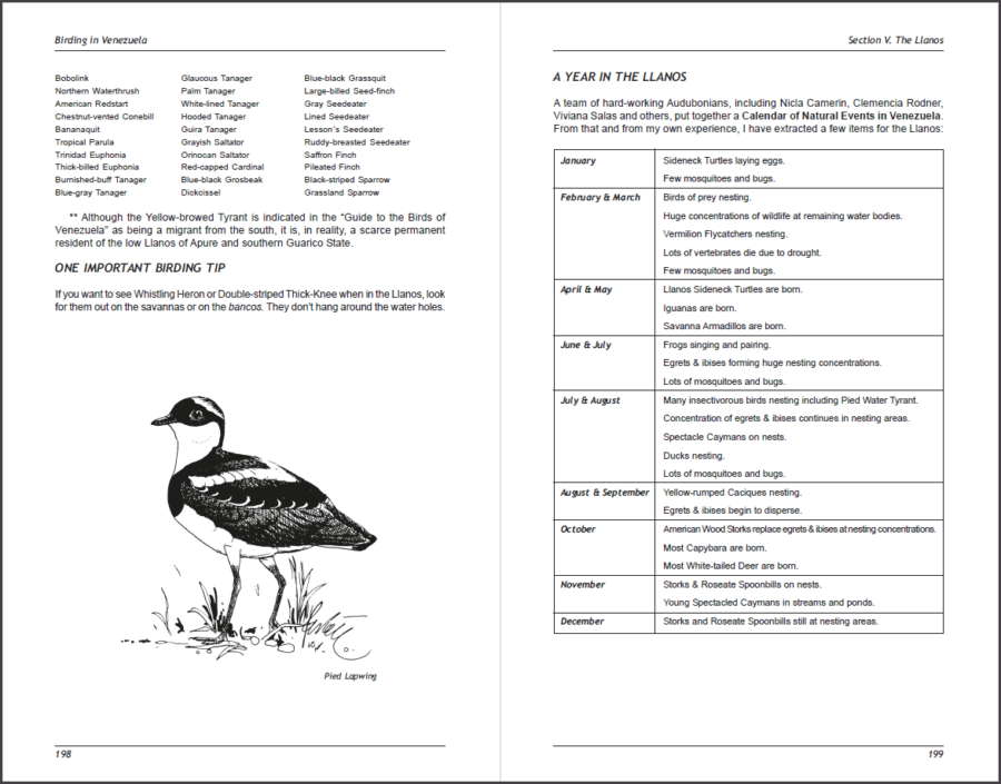 Página de muestra de Birding in Venezuela