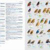 HBW and BirdLife International Illustrated Checklist of the Birds of the World. Volume 2 sample page