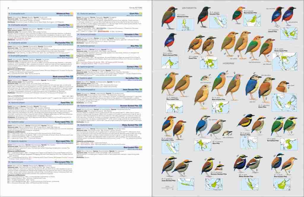 HBW and BirdLife International Illustrated Checklist of the Birds of ...