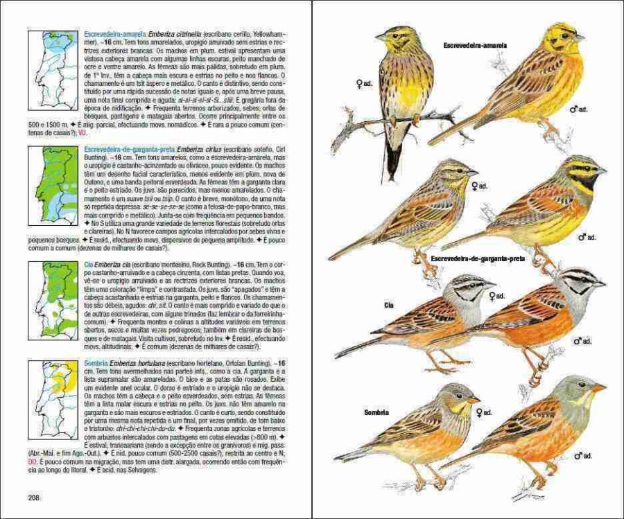 Pàgina de mostra Aves de Portugal