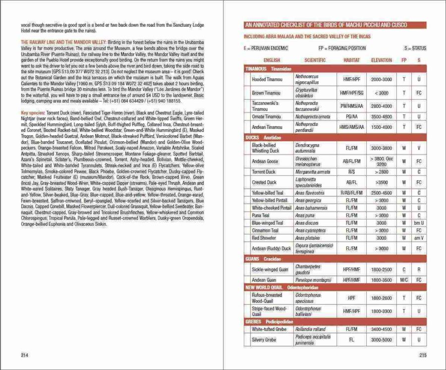 Field Guide to the Birds of Machu Picchu and the Cusco Region, Peru sample page