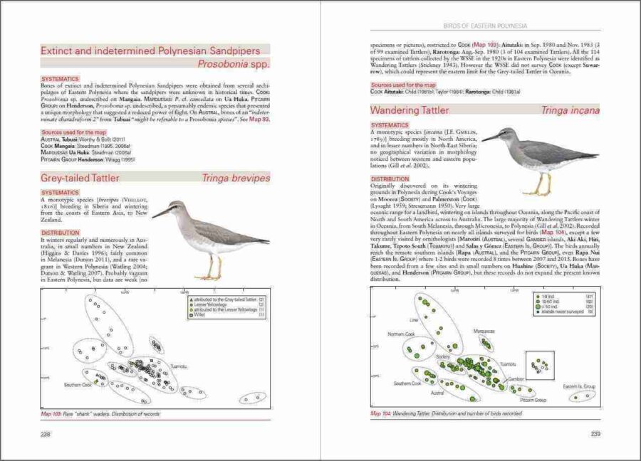 Aves de la Polinesia Oriental página de muestra