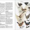 Flora y fauna de Chile. Guía de identificación sample page