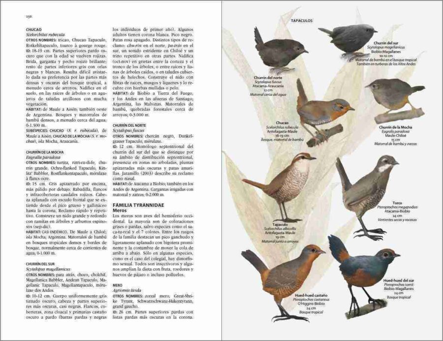 Flora i fauna de Xile. Pàgina de mostra de Guia d'identificació