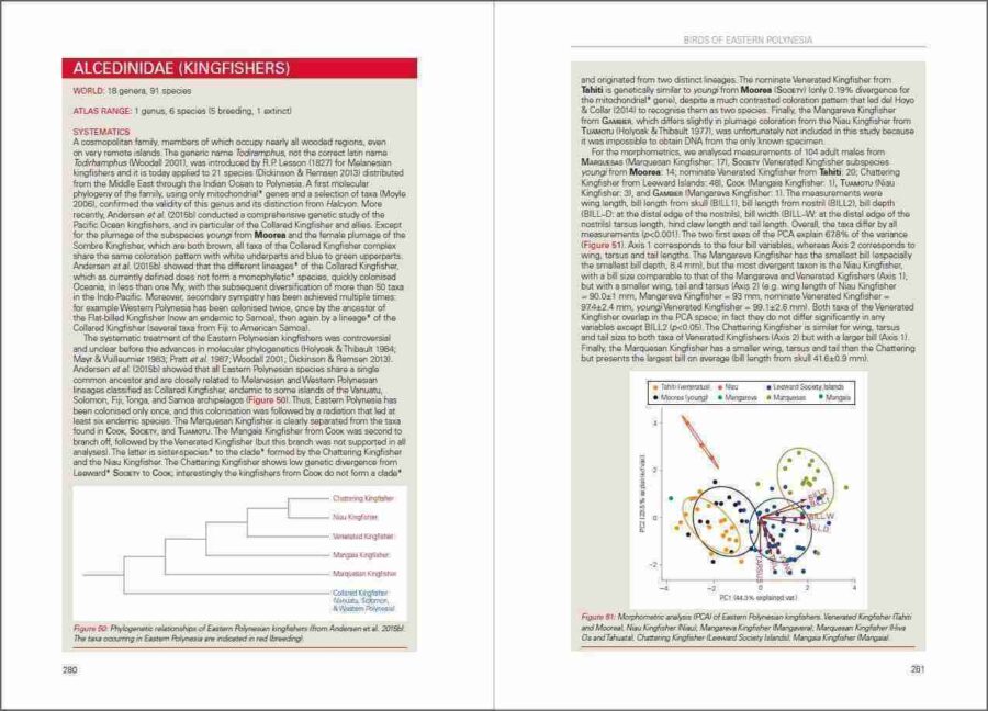 Pàgina de mostra Ocells de la Polinèsia oriental