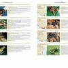 Threatened Amphibians of the World sample page