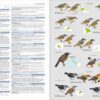 HBW and BirdLife International Illustrated Checklist of the Birds of the World. Volume 2 sample page