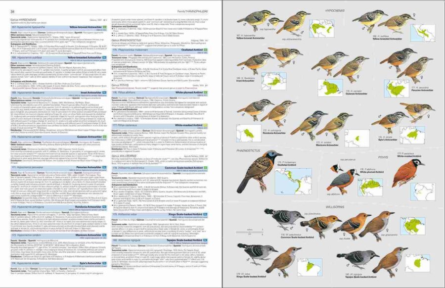 HBW y BirdLife International Lista Ilustrada de las Aves del Mundo. Página de muestra del Volumen 2