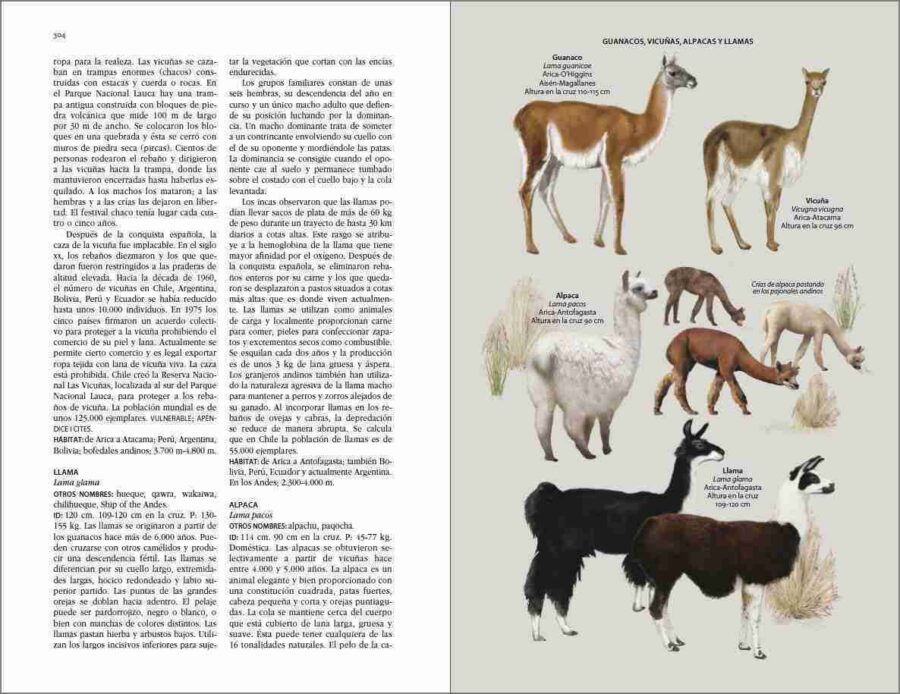 Flora y fauna de Chile. Página de muestra de la Guía de identificación