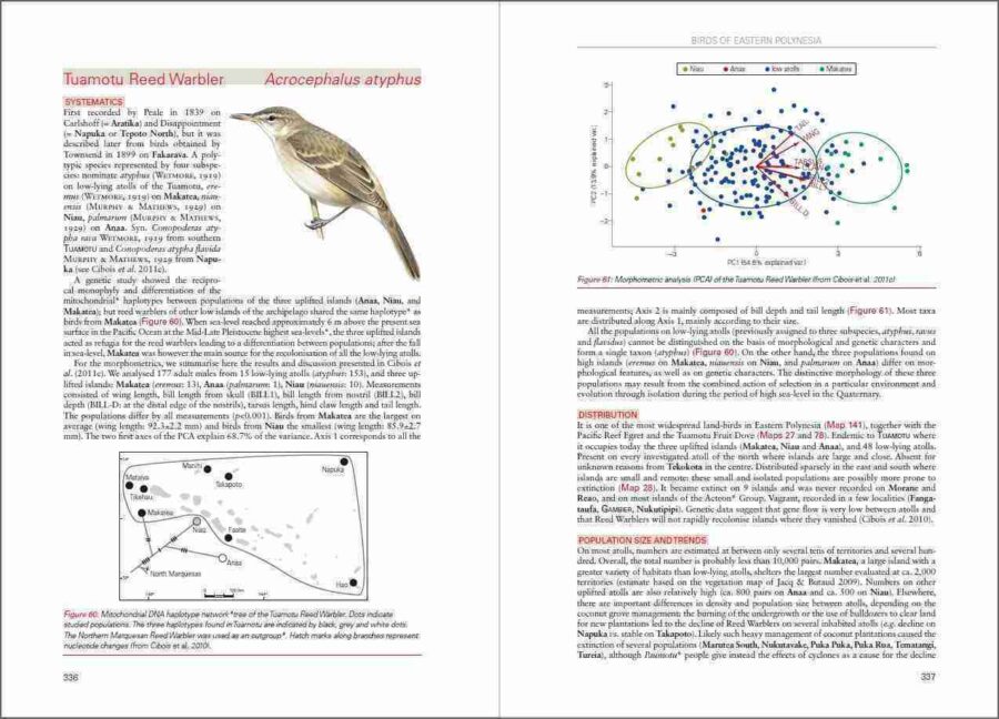 Birds of Eastern Polynesia sample page