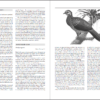 Curassows and Related Birds sample page