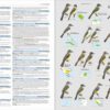 HBW and BirdLife International Illustrated Checklist of the Birds of the World. Volume 2 sample page