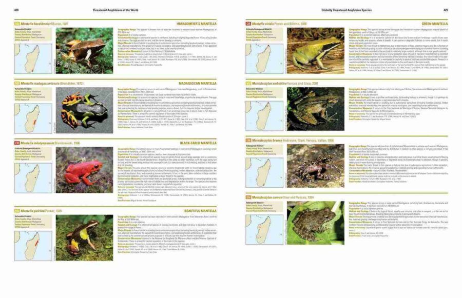 Anfibios amenazados del mundo página de muestra