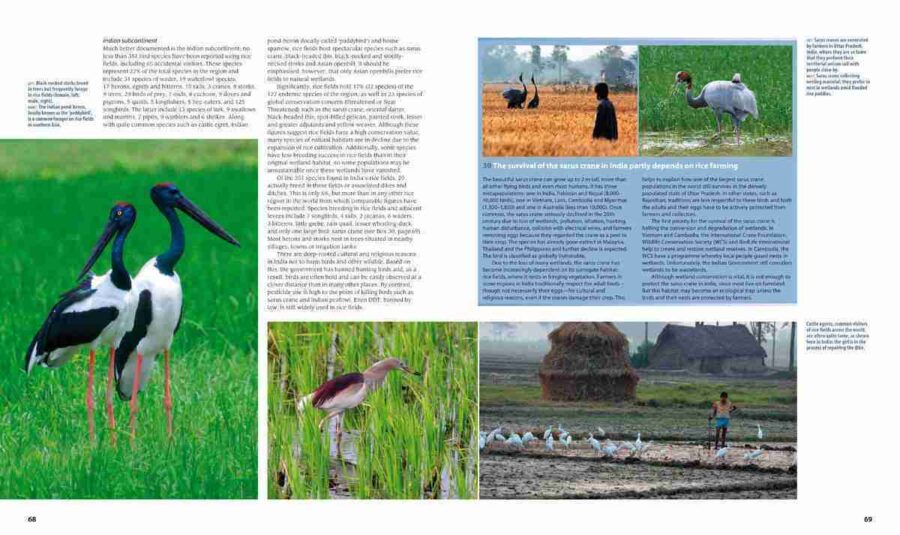 Farmland Birds across the World sample page