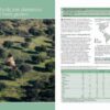 Farmland Birds across the World - 图片 3