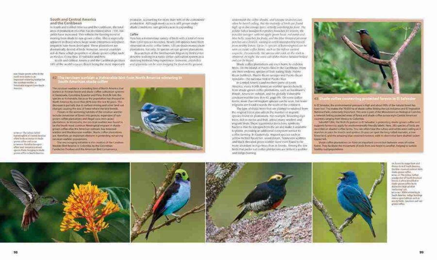 Farmland Birds across the World sample page