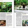 Pàgina de mostra De Amazonia a Patagonia