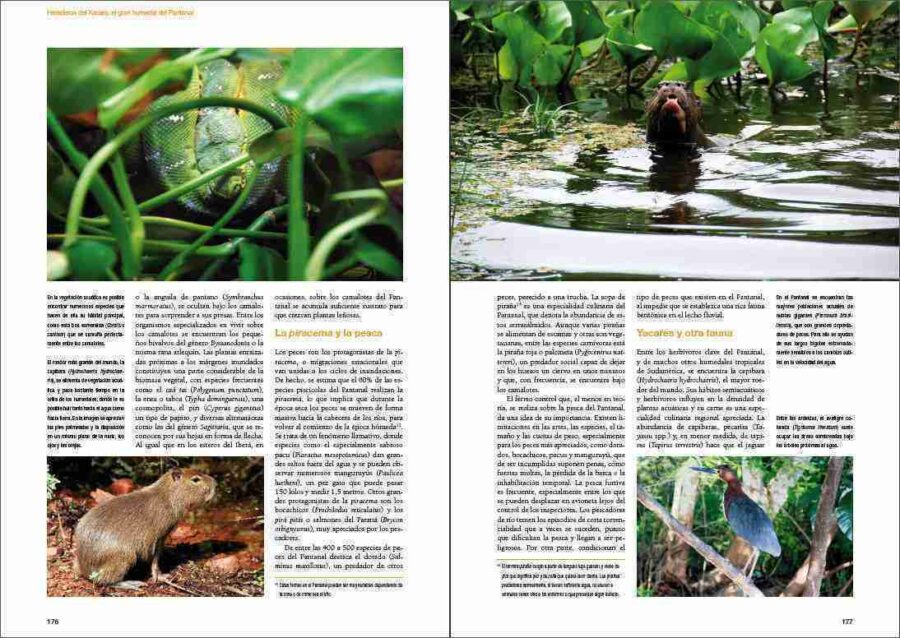 De Amazonia a Patagonia página de muestra