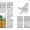 Pàgina de mostra De Amazonia a Patagonia