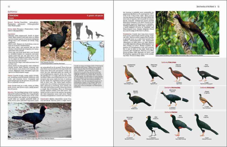 Bird Families of the World sample page