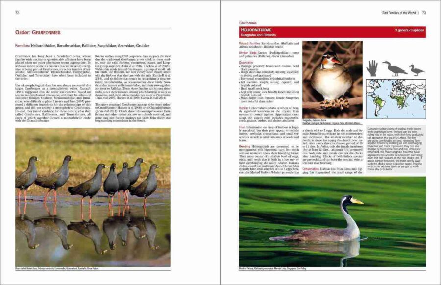 Bird Families of the World sample page