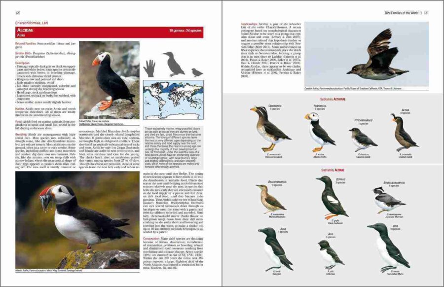 Bird Families of the World sample page