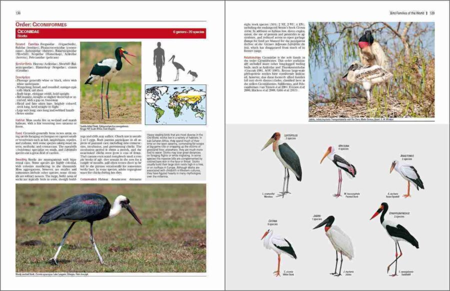 Bird Families of the World sample page