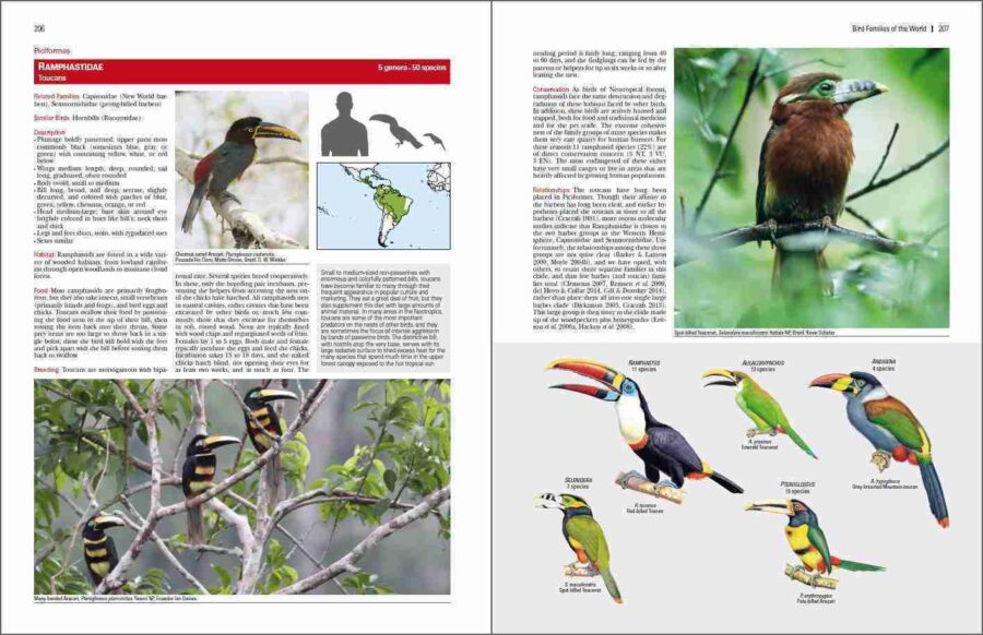 Bird Families of the World sample page