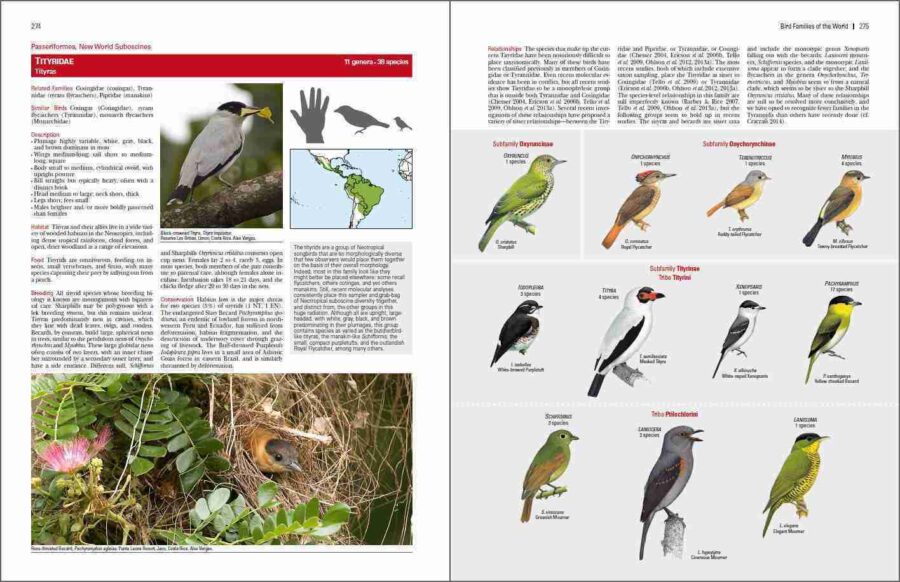 Bird Families of the World sample page