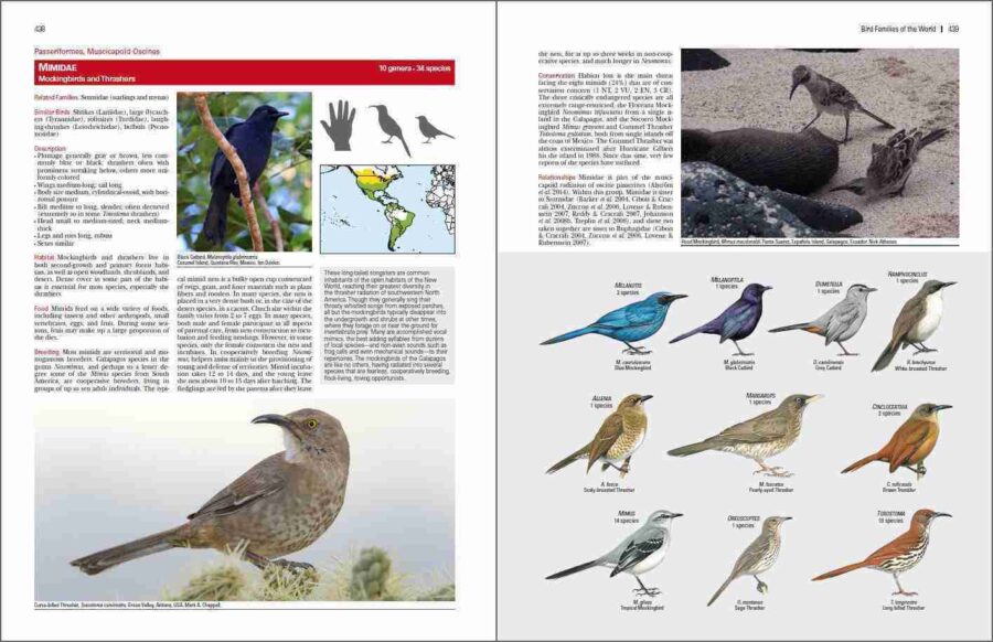 Bird Families of the World sample page