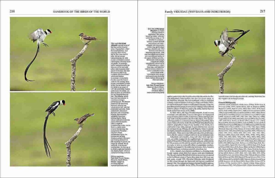 Handbook of the Birds of the World - Volum 15 pàgina de mostra