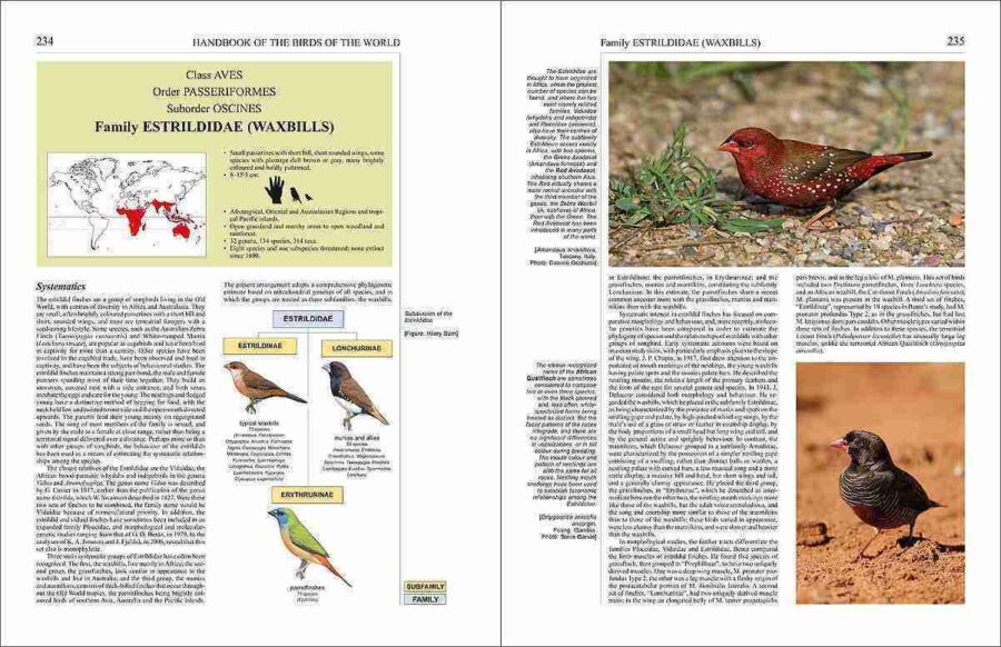 Handbook of the Birds of the World - Volum 15 pàgina de mostra